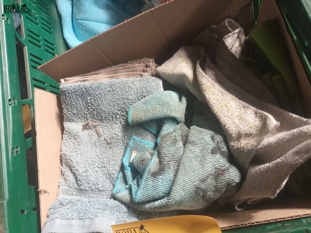 Poetsdoeken en toiletblokjes – foto 4 – kavel bij BOPA Auctions, Houthulst