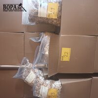 Rookhout snippers beuk 1 kg. 25 stuks – kavel bij BOPA Auctions, Poperinge