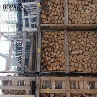 Houten kist met brandhout + lege kist – kavel bij BOPA Auctions, Poperinge