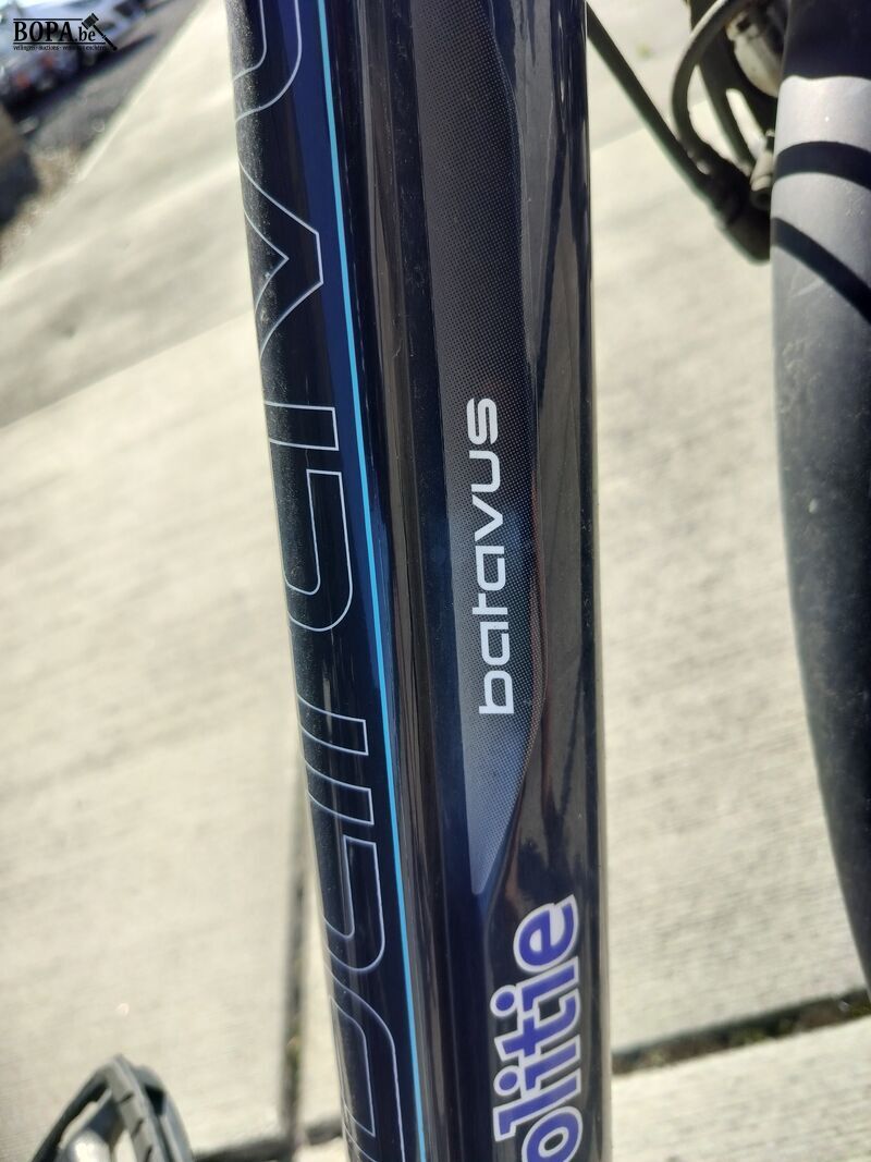 BATAVIUS E-bike – foto 4 – kavel bij BOPA Auctions, Ieper