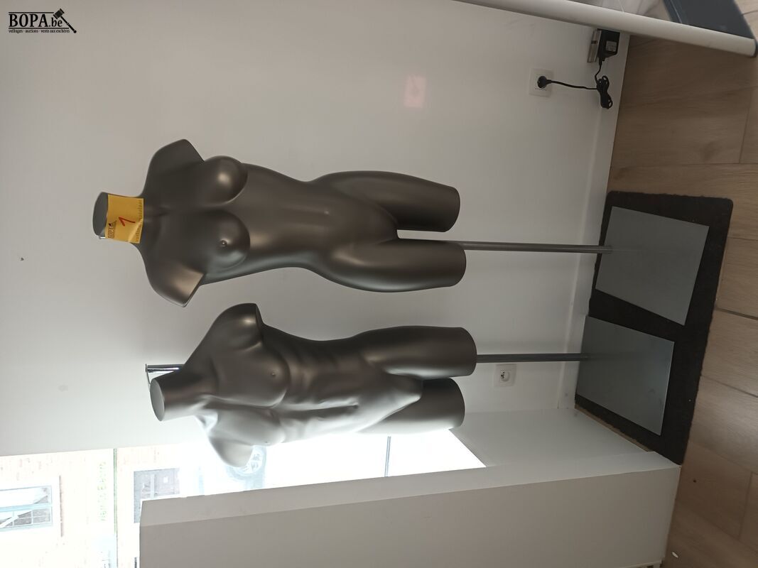 Paspop grijze torso op voet. 2 stuks – foto 2 – kavel bij BOPA Auctions, Wervik
