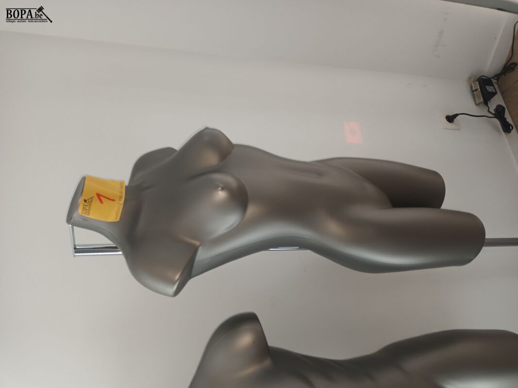 Paspop grijze torso op voet. 2 stuks – foto 3 – kavel bij BOPA Auctions, Wervik