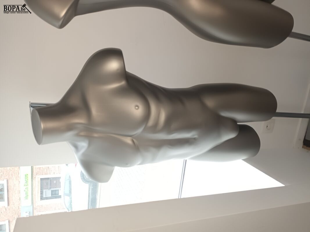 Paspop grijze torso op voet. 2 stuks – foto 4 – kavel bij BOPA Auctions, Wervik