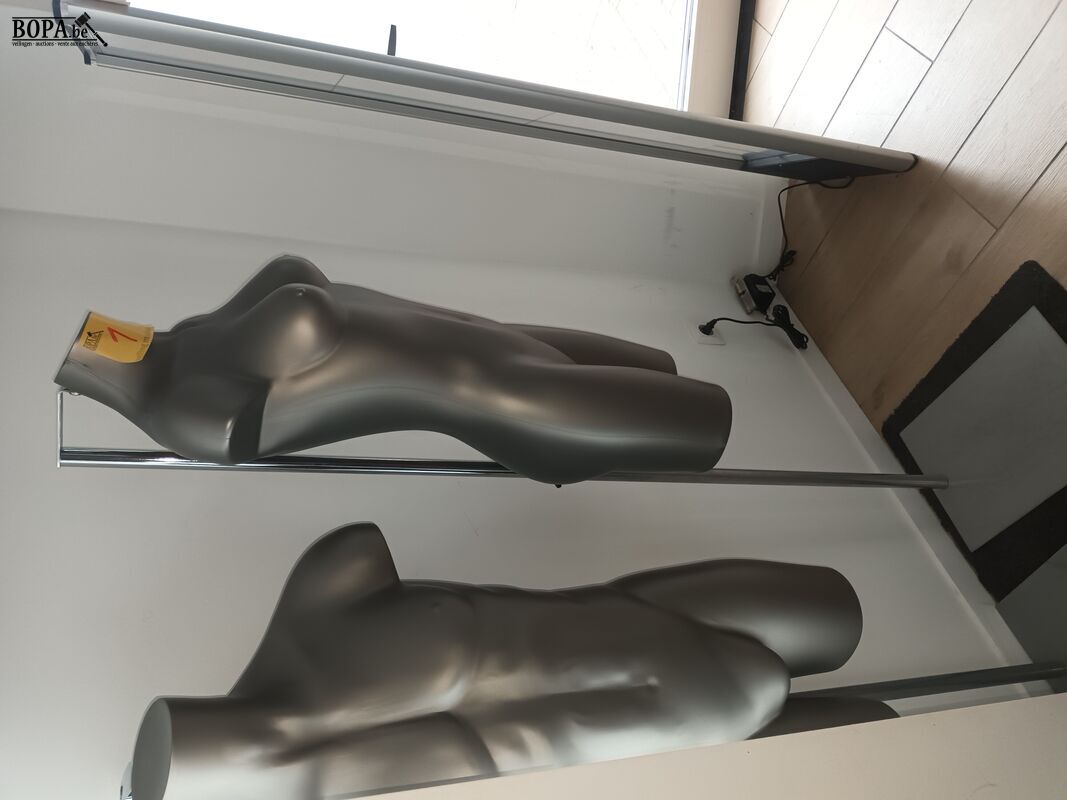 Paspop grijze torso op voet. 2 stuks – foto 5 – kavel bij BOPA Auctions, Wervik