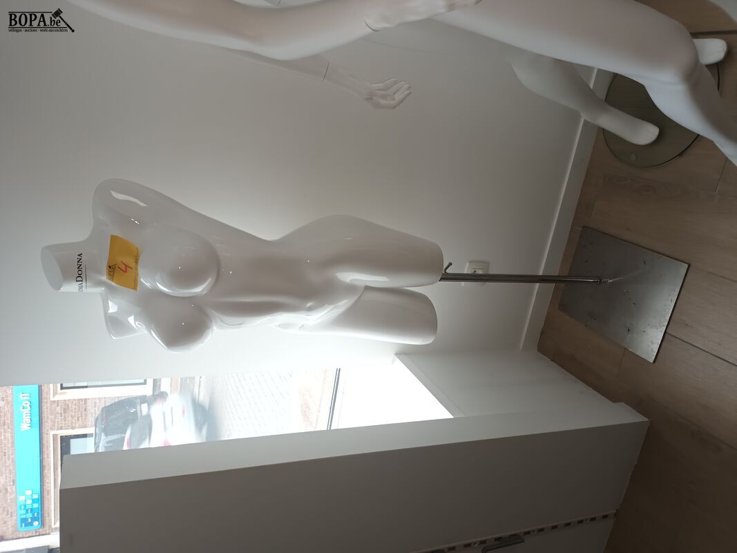 Paspop witte torso op voet – foto 2 – kavel bij BOPA Auctions, Wervik