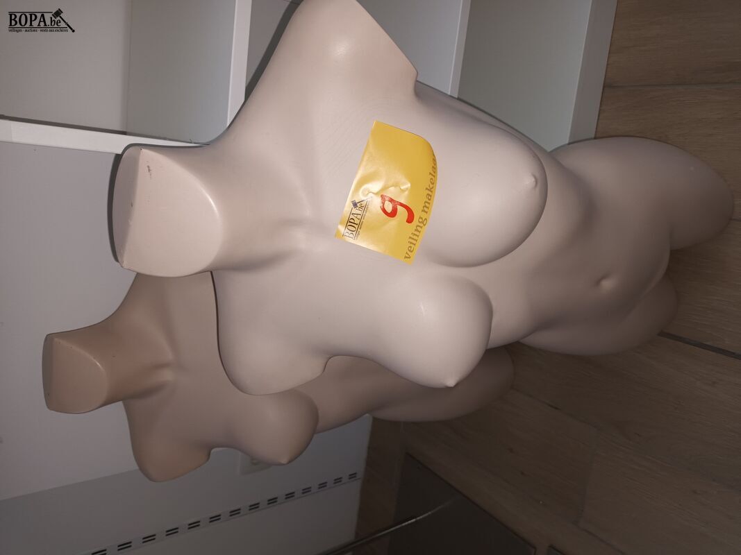 Paspop torso vrouw. 2 stuks – foto 4 – kavel bij BOPA Auctions, Wervik