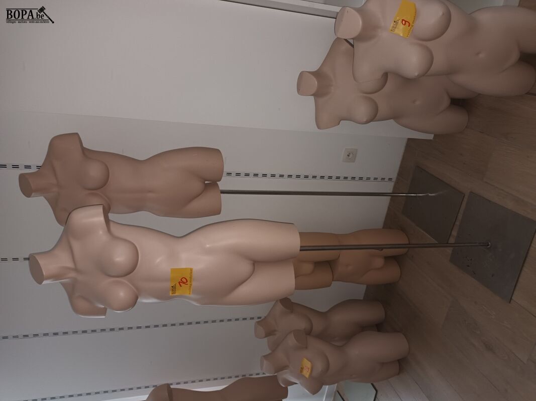 Paspop torso vrouw op voet. 2 stuks – foto 2 – kavel bij BOPA Auctions, Wervik