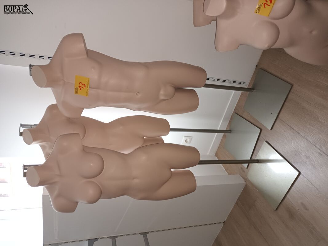 Paspop torso op voet. 3 stuks – foto 2 – kavel bij BOPA Auctions, Wervik