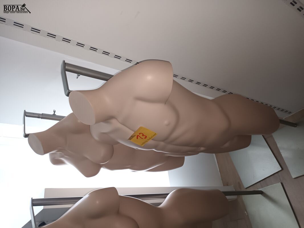 Paspop torso op voet. 3 stuks – foto 4 – kavel bij BOPA Auctions, Wervik