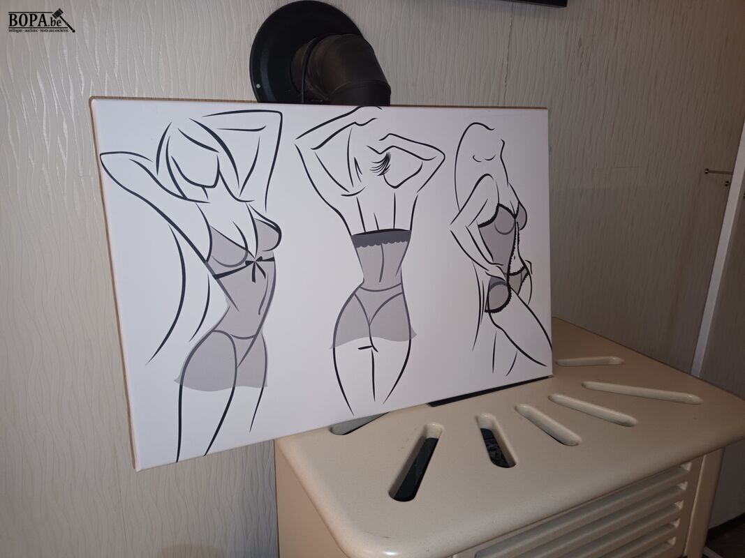 Canvas en kader – foto 3 – kavel bij BOPA Auctions, Wervik