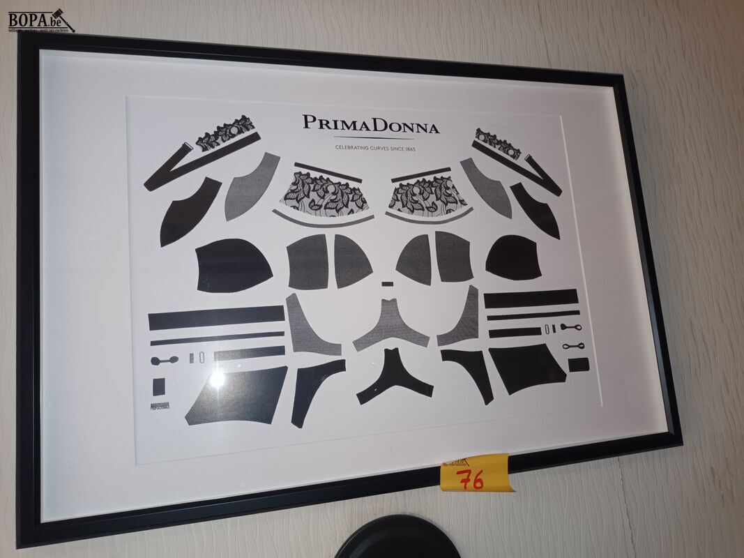 Canvas en kader – foto 4 – kavel bij BOPA Auctions, Wervik