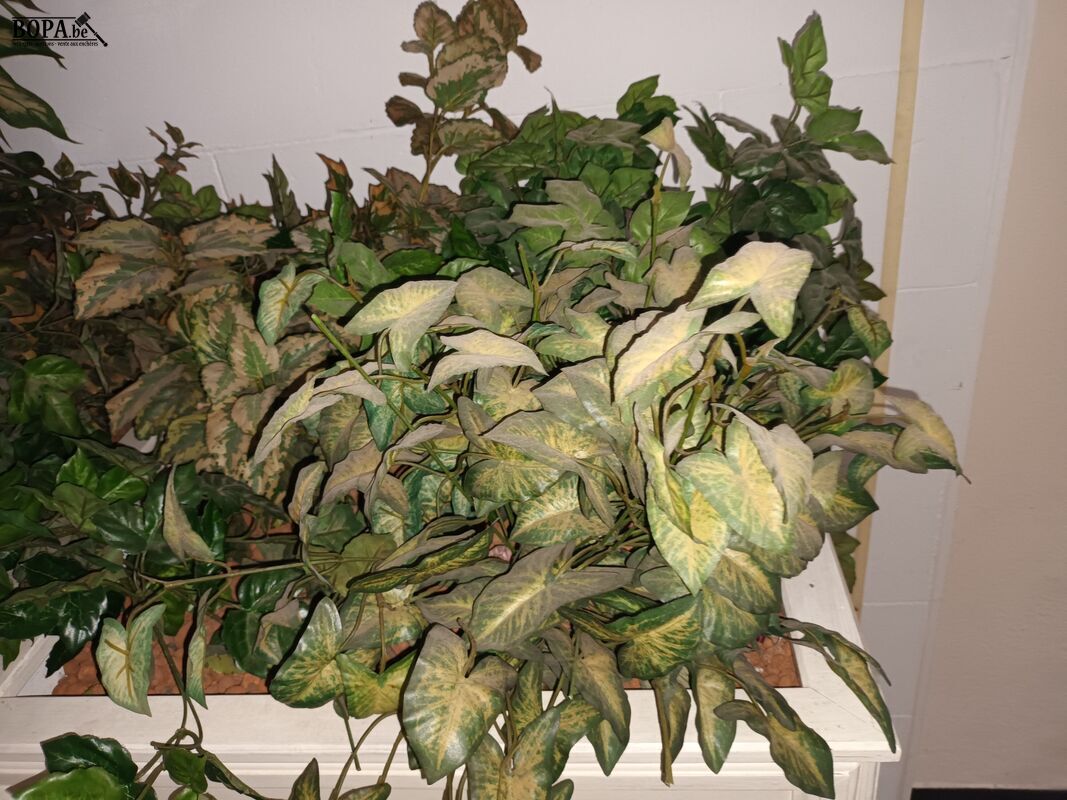 Houten plantenbak op wielen – foto 3 – kavel bij BOPA Auctions, Wervik