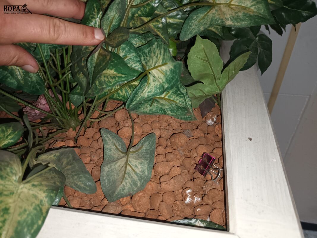 Houten plantenbak op wielen – foto 4 – kavel bij BOPA Auctions, Wervik