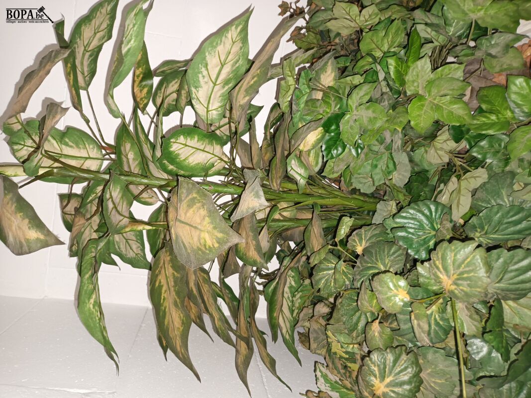 Houten plantenbak op wielen – foto 3 – kavel bij BOPA Auctions, Wervik