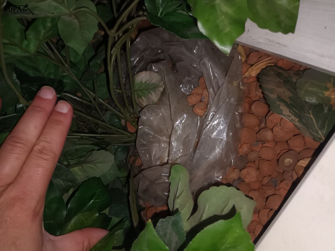 Houten plantenbak op wielen – foto 4 – kavel bij BOPA Auctions, Wervik