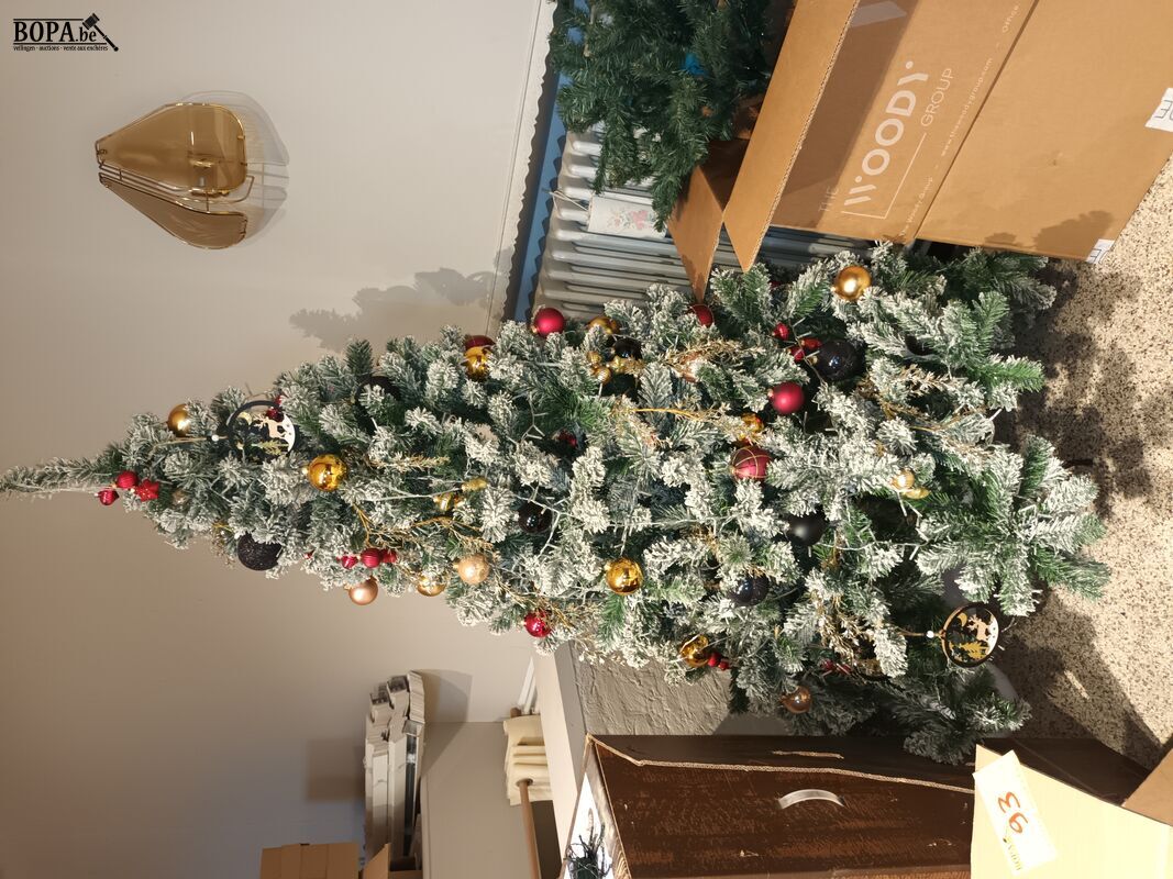 Kerstbomen en kerstdecoratie – foto 3 – kavel bij BOPA Auctions, Wervik