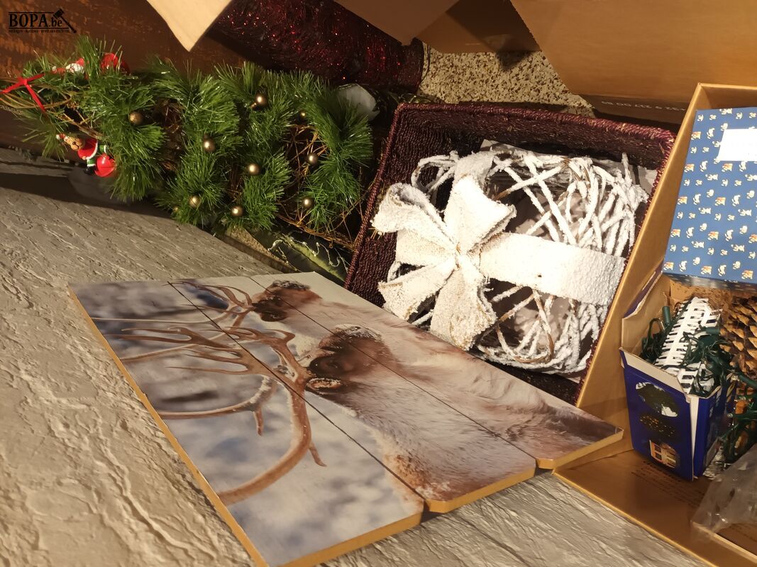 Kerstbomen en kerstdecoratie – foto 6 – kavel bij BOPA Auctions, Wervik