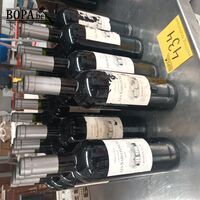 Flessen Bordeaux wijn. 17 stuks – kavel bij BOPA Auctions, Tielt