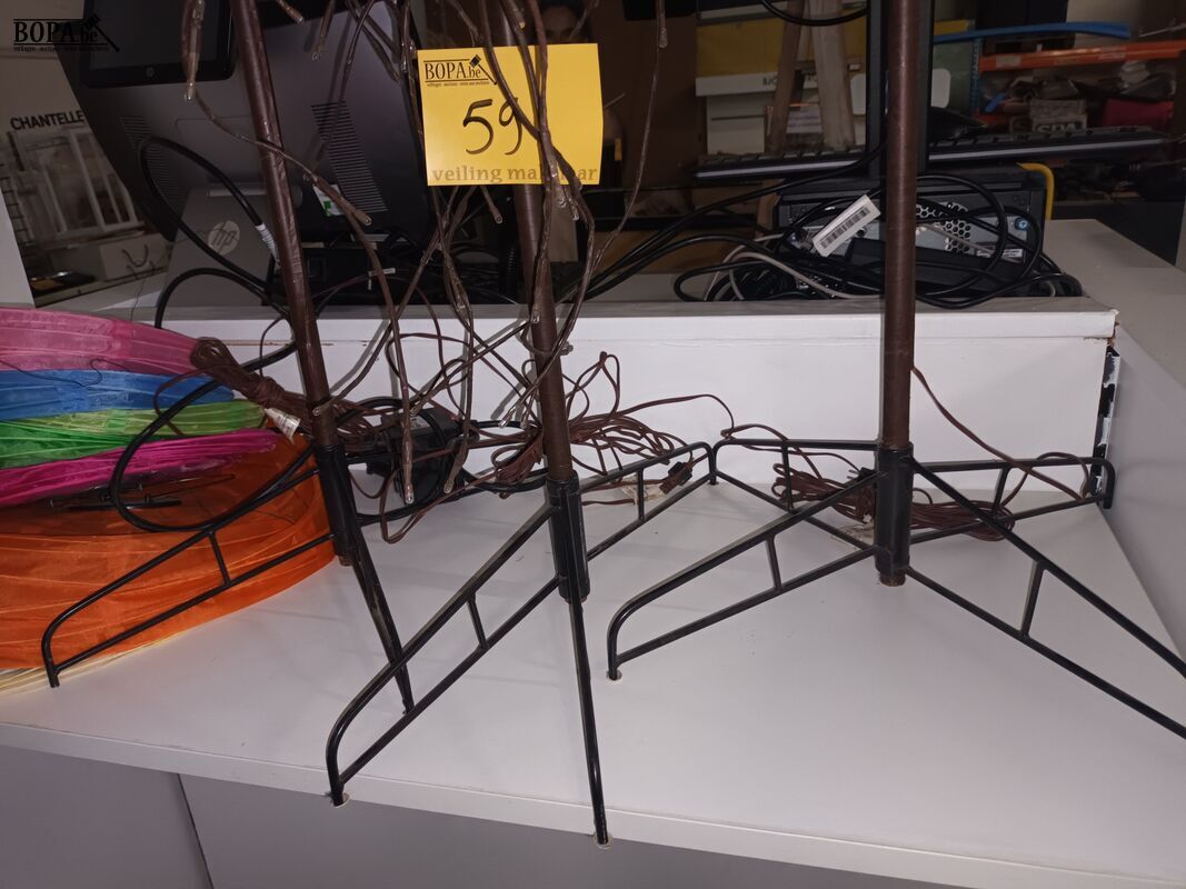 Lampionnen en verlichte treurwilgen – foto 5 – kavel bij BOPA Auctions, Ieper