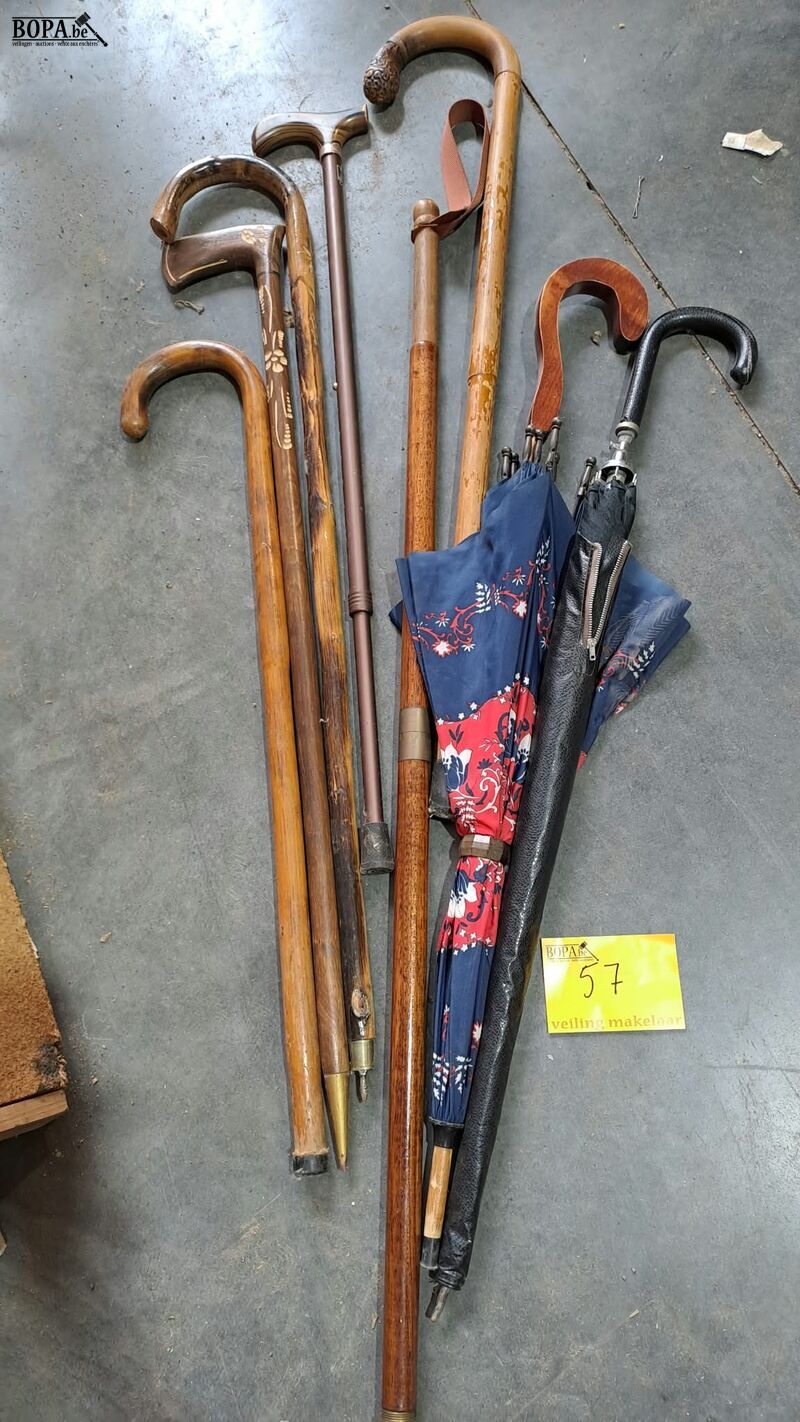 Lot wandelstokken (6) en paraplu's (2) – foto 2 – kavel bij BOPA Auctions, Aarsele