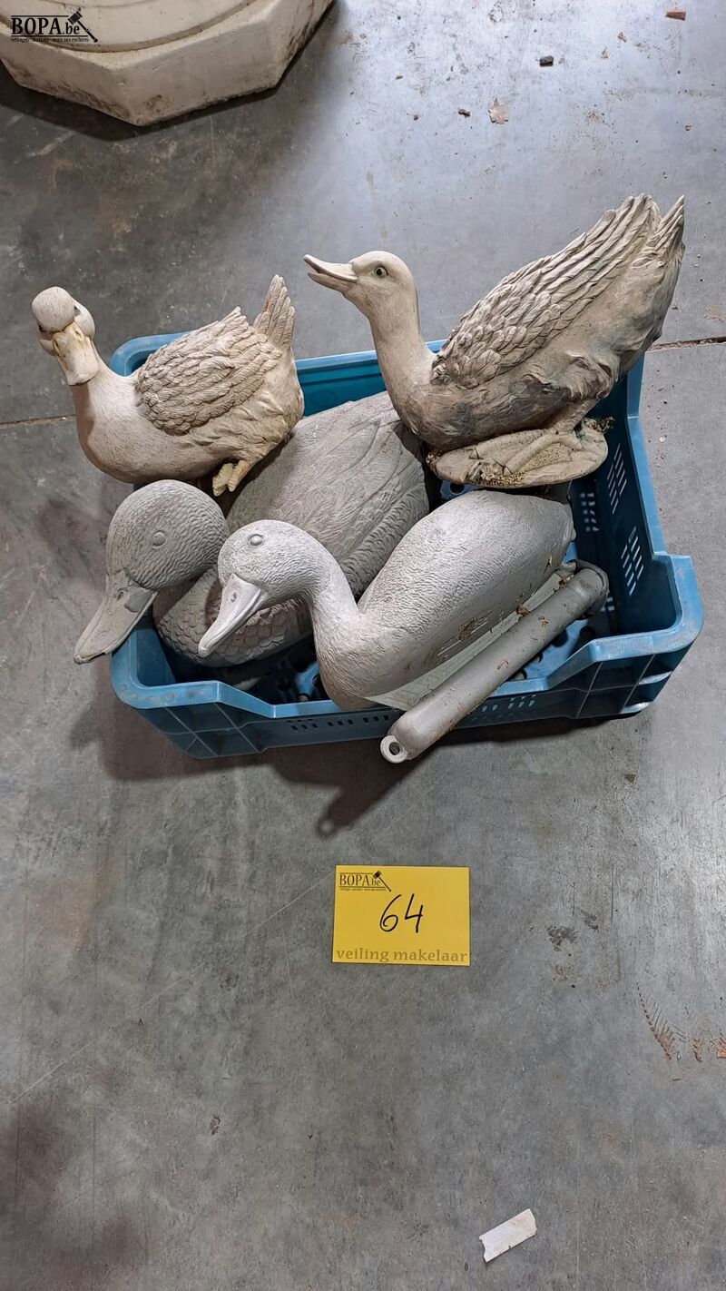 Eenden voor vijver en hoenders - 4 stuks – foto 2 – kavel bij BOPA Auctions, Aarsele