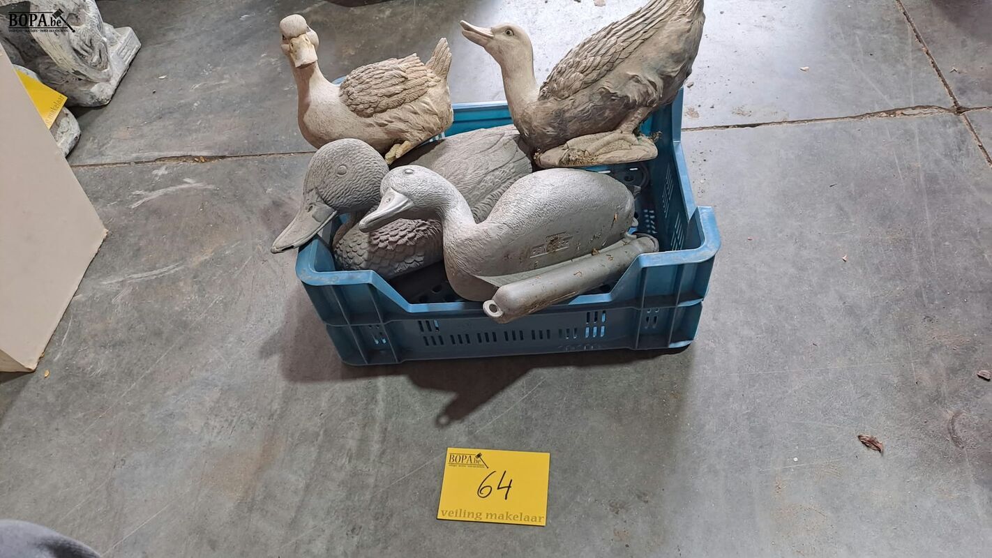 Eenden voor vijver en hoenders - 4 stuks – foto 4 – kavel bij BOPA Auctions, Aarsele