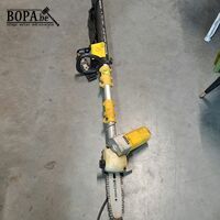 Electrische telescoopkettingzaag Powerplus en hoogstammigens – kavel bij BOPA Auctions, Aarsele