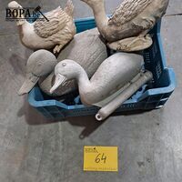 Eenden voor vijver en hoenders - 4 stuks – kavel bij BOPA Auctions, Aarsele