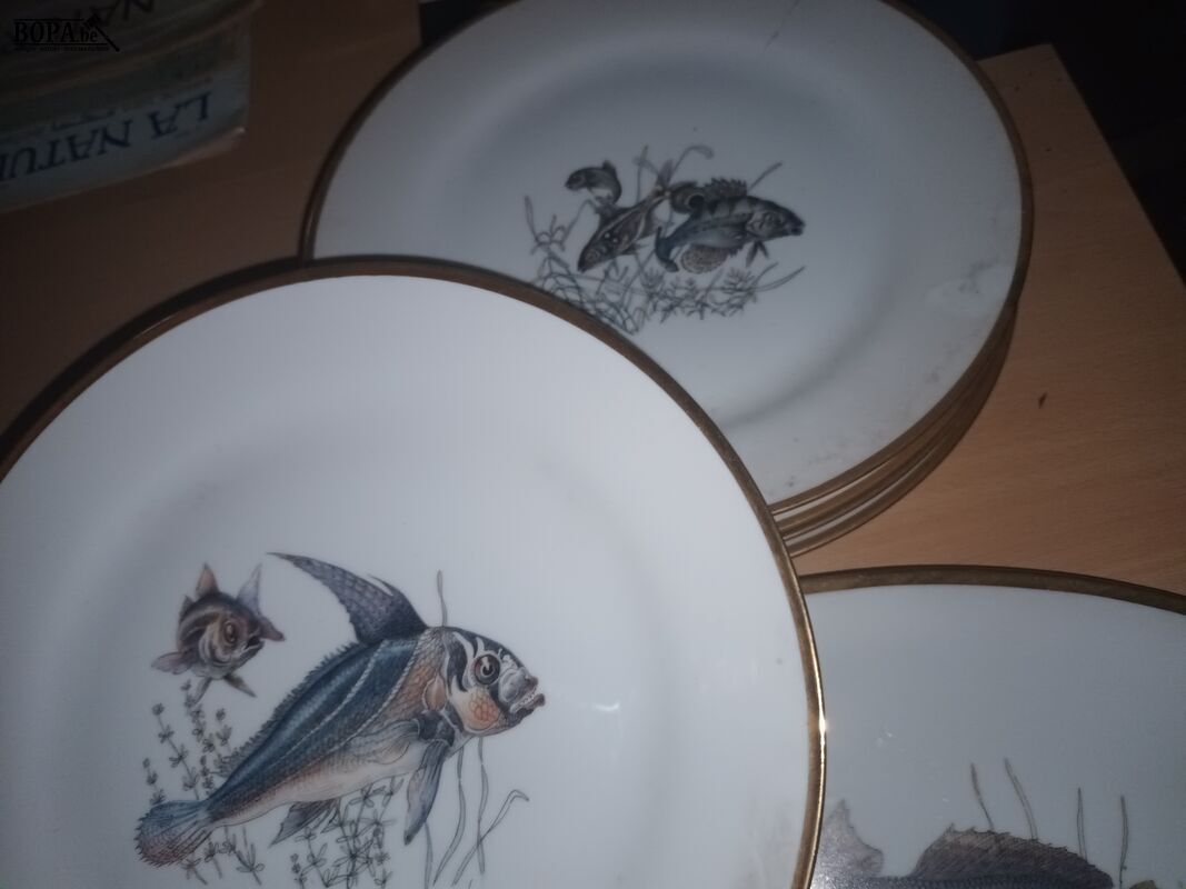Visborden Bavaria. 6 stuks – foto 4 – kavel bij BOPA Auctions, Ieper