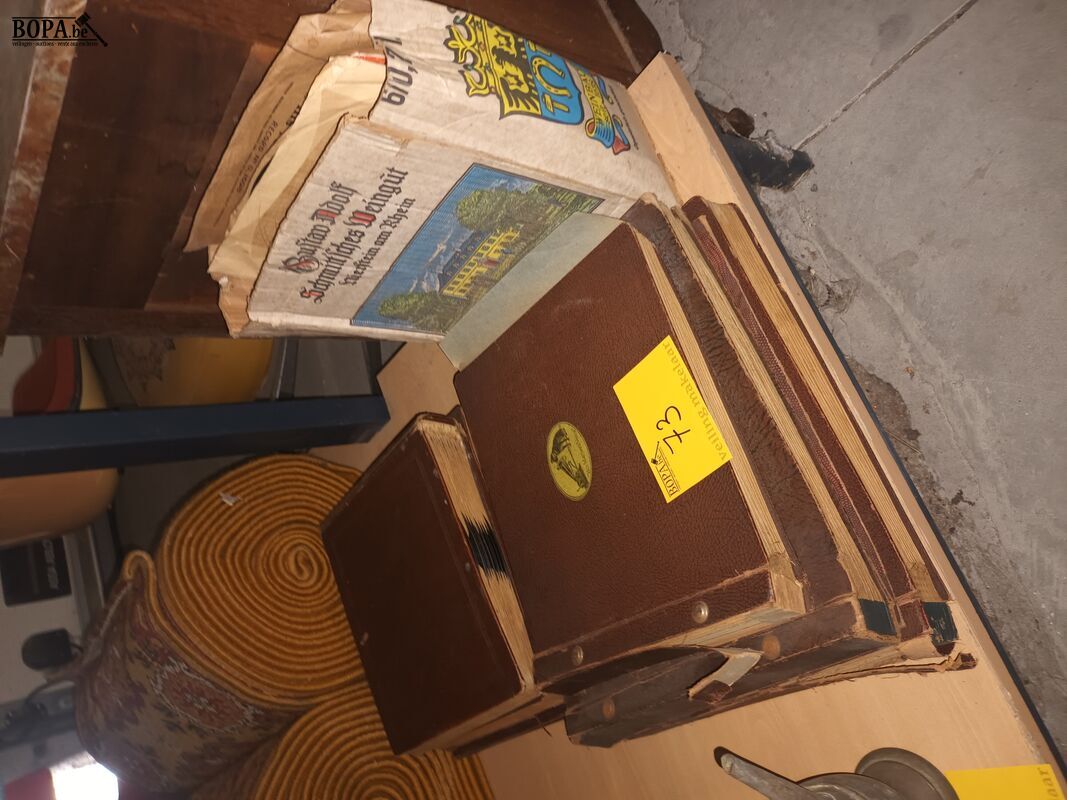 Grammofoonplaten – foto 3 – kavel bij BOPA Auctions, Ieper