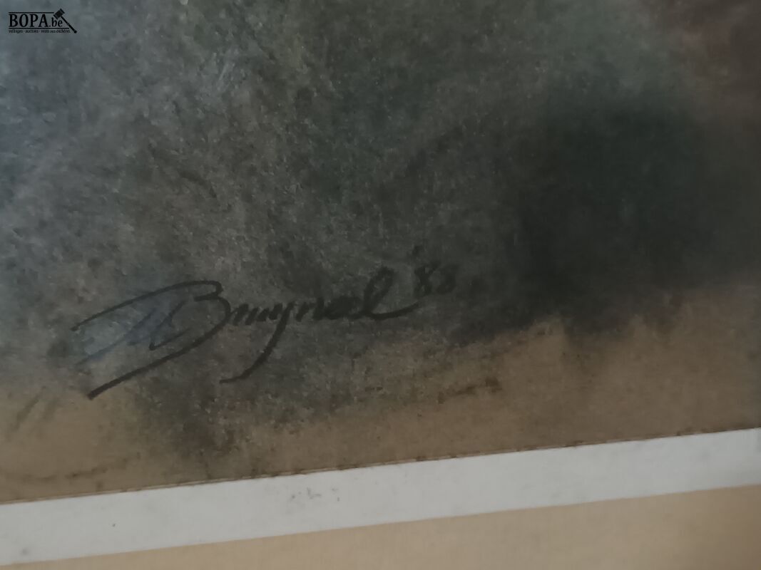 Kader met schilderij – foto 4 – kavel bij BOPA Auctions, Ieper
