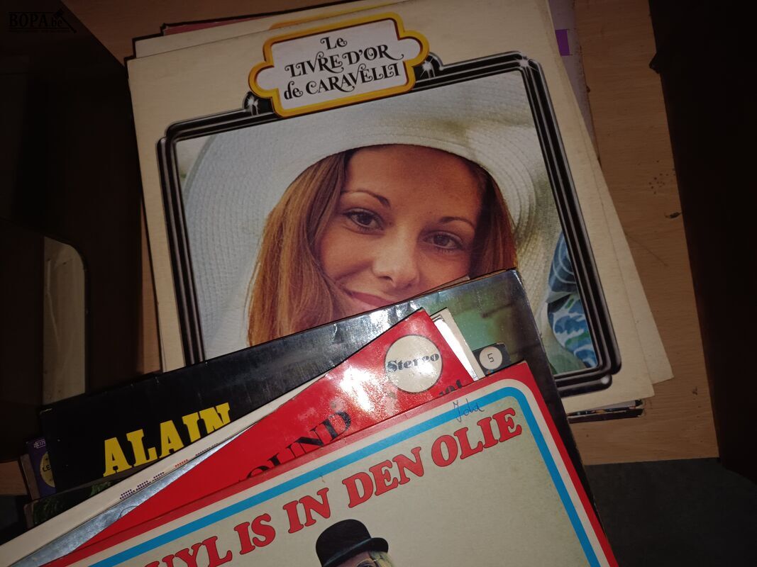 Muziek LP’s. 45 stuks – foto 5 – kavel bij BOPA Auctions, Ieper