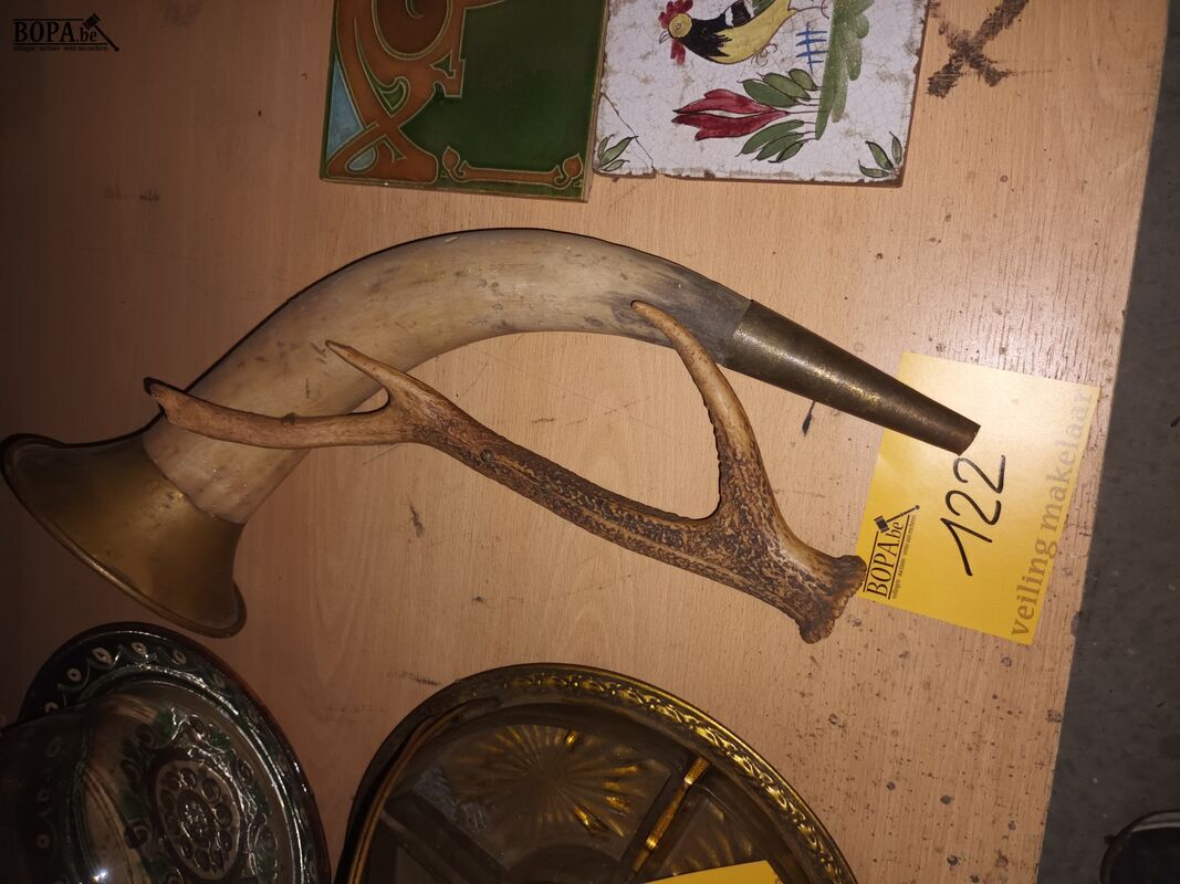 Hoorn en gewei – foto 2 – kavel bij BOPA Auctions, Ieper