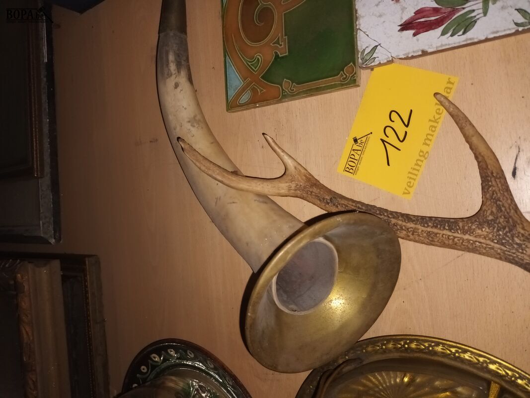 Hoorn en gewei – foto 3 – kavel bij BOPA Auctions, Ieper