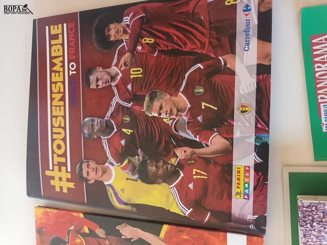 Boeken voetbal en panini. 5 stuks – foto 3 – kavel bij BOPA Auctions, Ieper