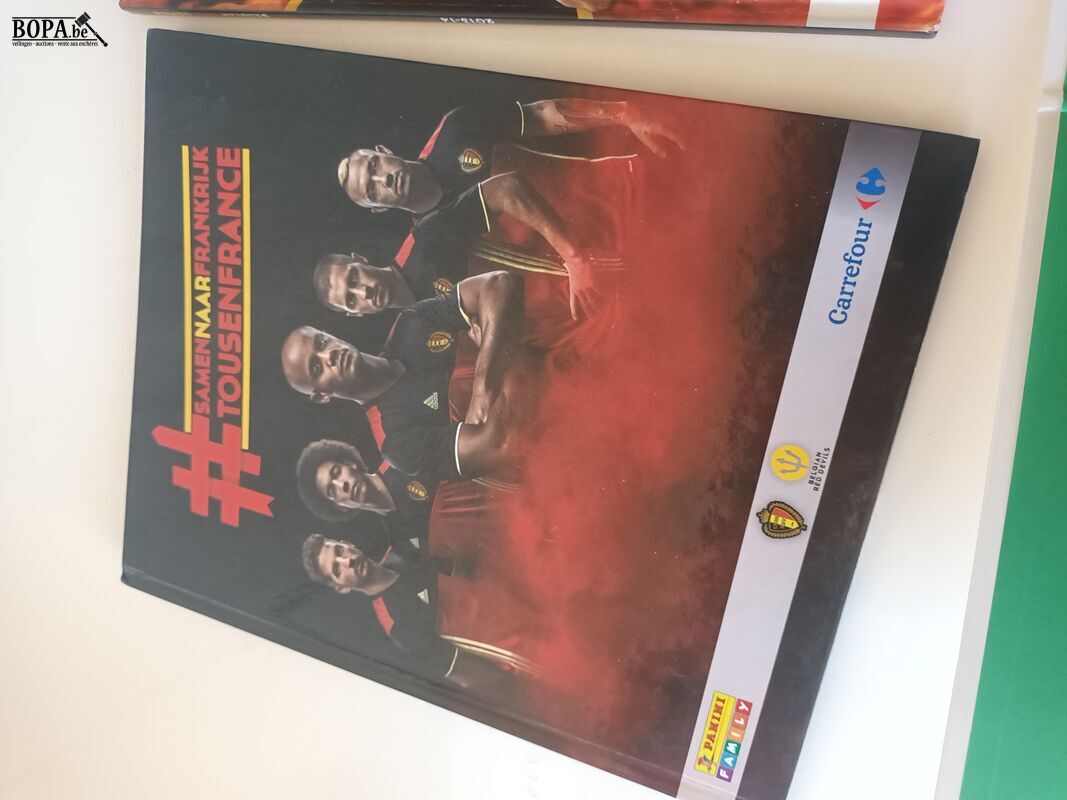 Boeken voetbal en panini. 5 stuks – foto 5 – kavel bij BOPA Auctions, Ieper