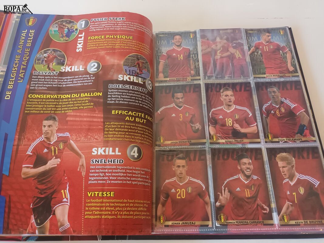 Boeken voetbal en panini. 5 stuks – foto 9 – kavel bij BOPA Auctions, Ieper