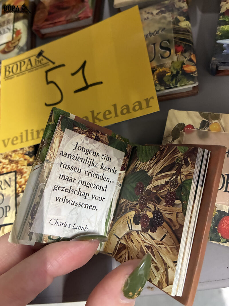 Lot miniboekjes – foto 3 – kavel bij BOPA Auctions, Oekene