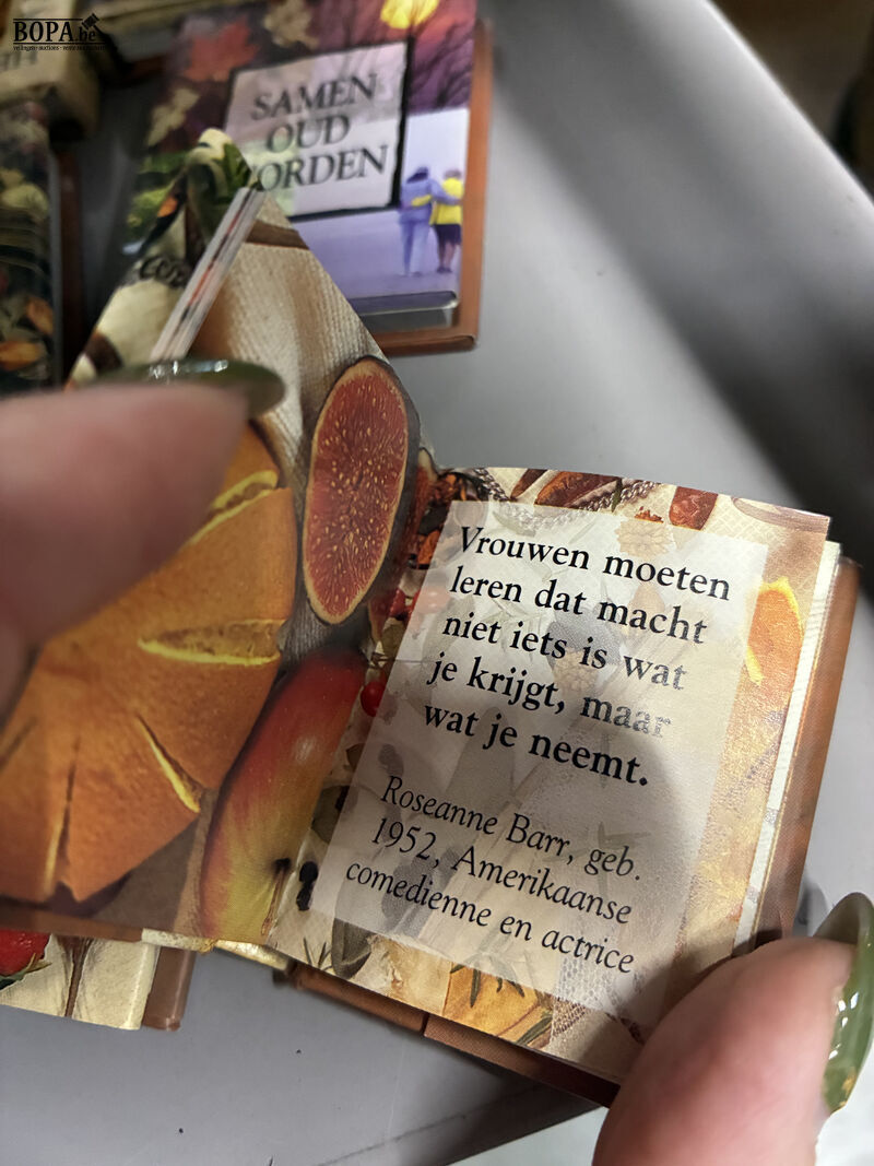 Lot miniboekjes – foto 4 – kavel bij BOPA Auctions, Oekene