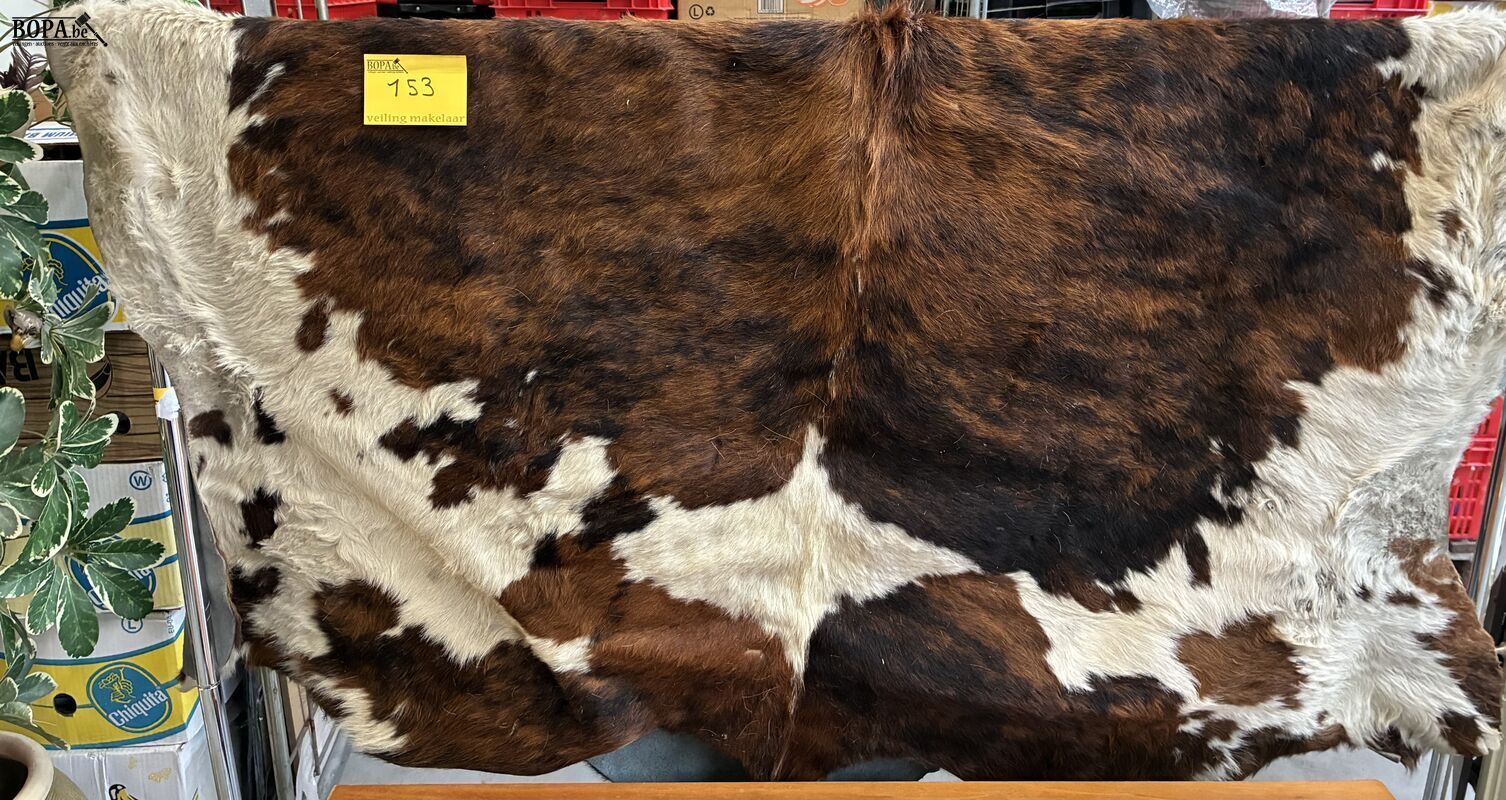 Driekleurige koeienhuid vloerkleed – foto 4 – kavel bij BOPA Auctions, Oekene