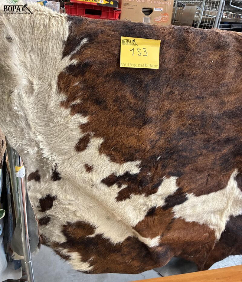 Driekleurige koeienhuid vloerkleed – foto 5 – kavel bij BOPA Auctions, Oekene