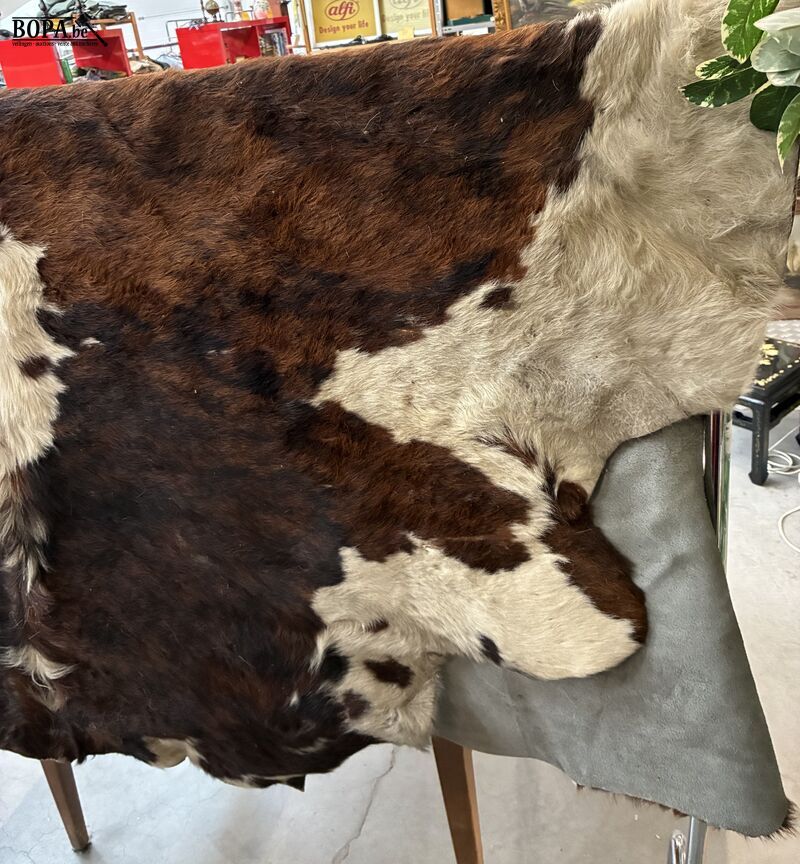 Driekleurige koeienhuid vloerkleed – foto 3 – kavel bij BOPA Auctions, Oekene