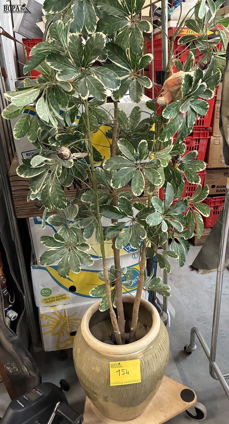 Kunstplant in beige pot – foto 2 – kavel bij BOPA Auctions, Oekene