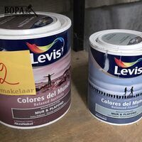 Muurverf Levis 2,5L en 1 L – kavel bij BOPA Auctions, Ieper