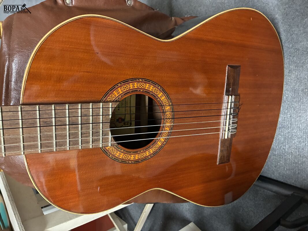 Gitaar met opbergzak – foto 3 – kavel bij BOPA Auctions, Ieper