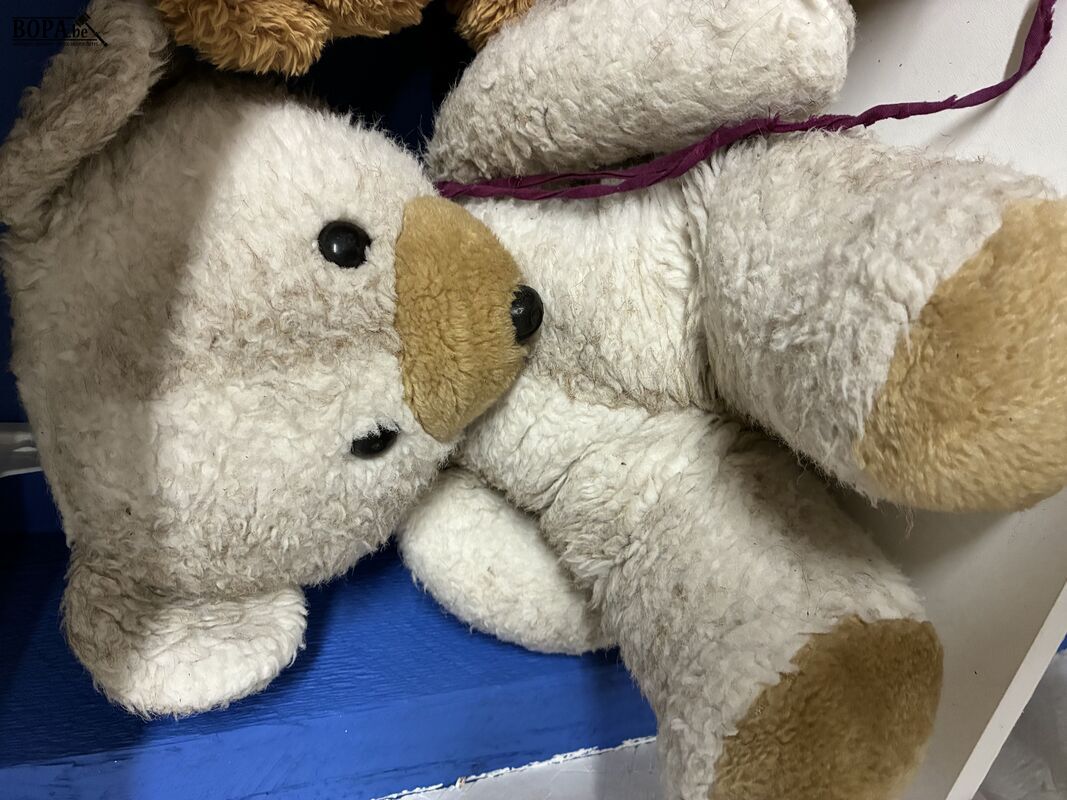 Lot teddyberen - 3 stuks – foto 6 – kavel bij BOPA Auctions, Ieper