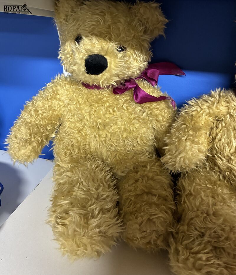 Set klassieke pluche teddyberen – foto 3 – kavel bij BOPA Auctions, Ieper