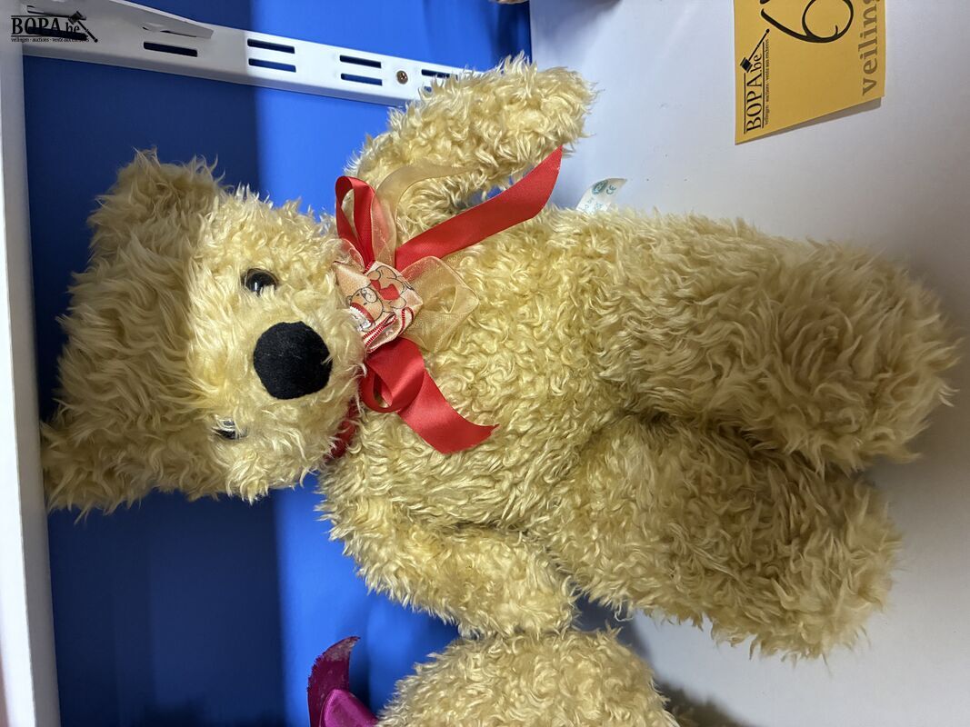 Set klassieke pluche teddyberen – foto 4 – kavel bij BOPA Auctions, Ieper