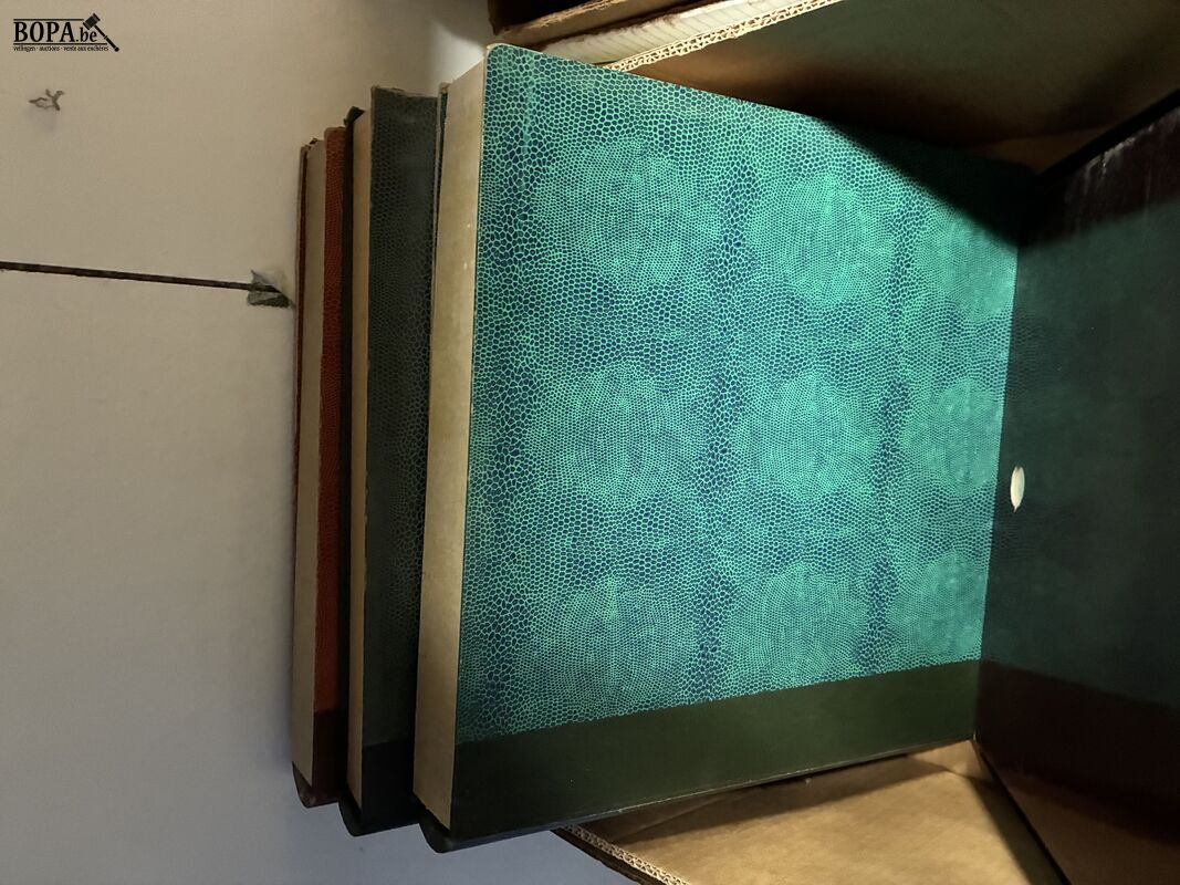 Lot vinylplaten – foto 5 – kavel bij BOPA Auctions, Ieper
