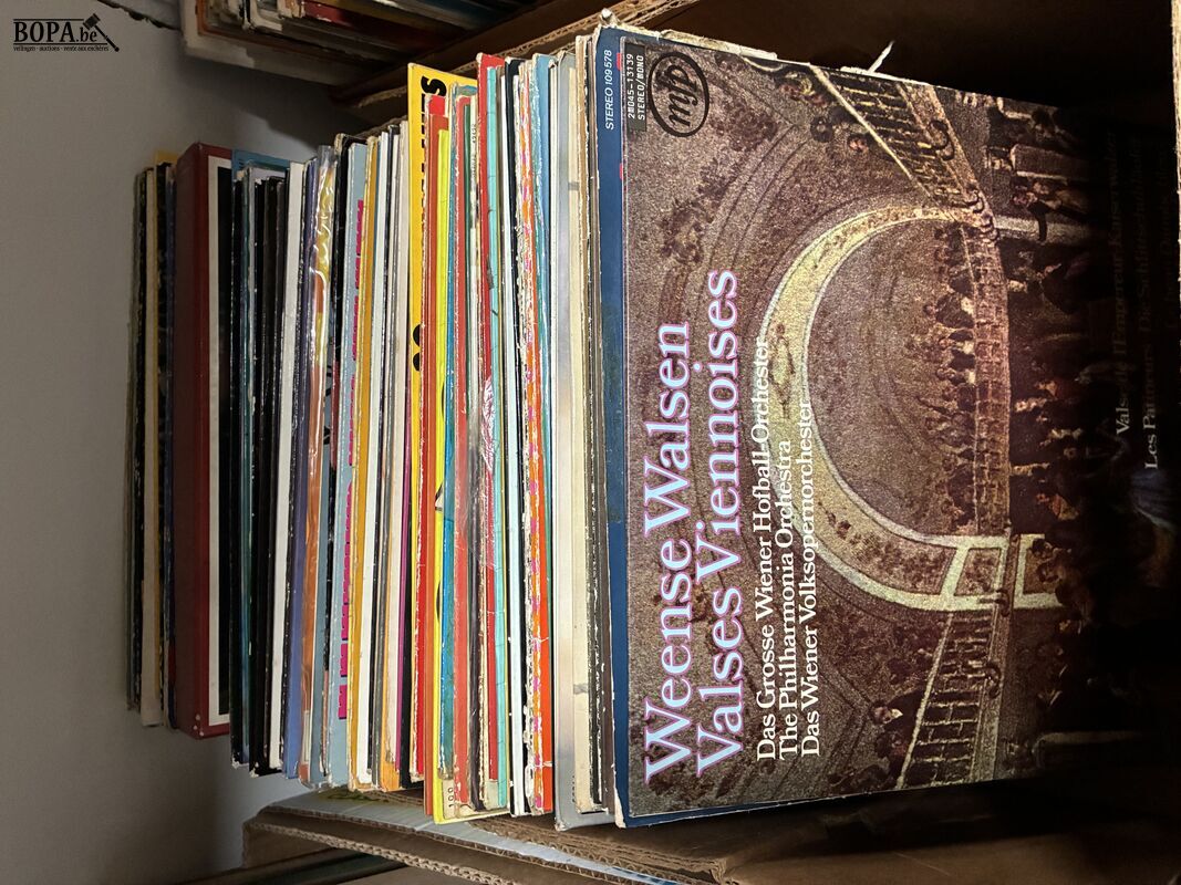 Lot vinylplaten – foto 2 – kavel bij BOPA Auctions, Ieper